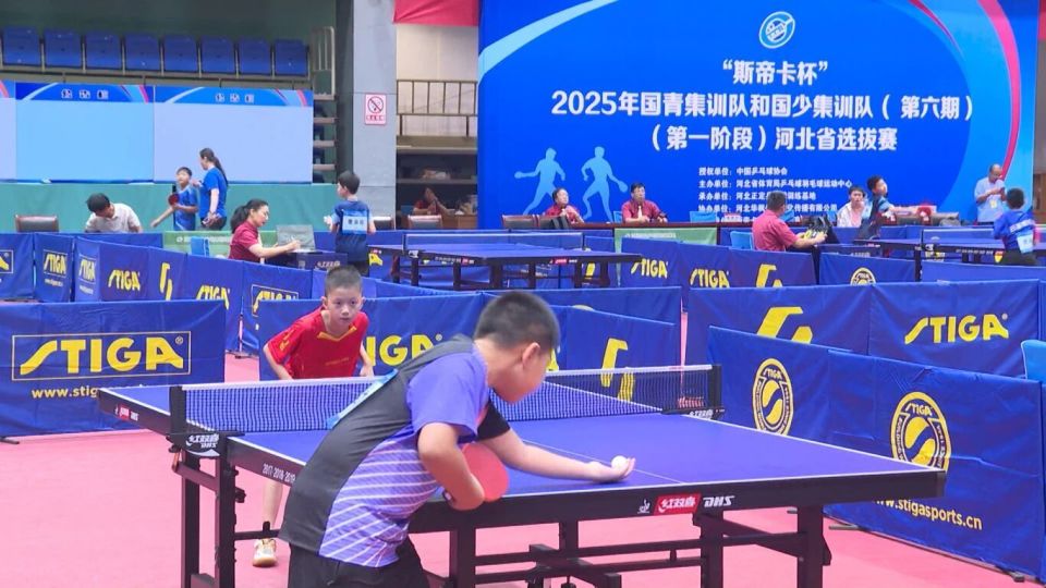 训队, ation, color