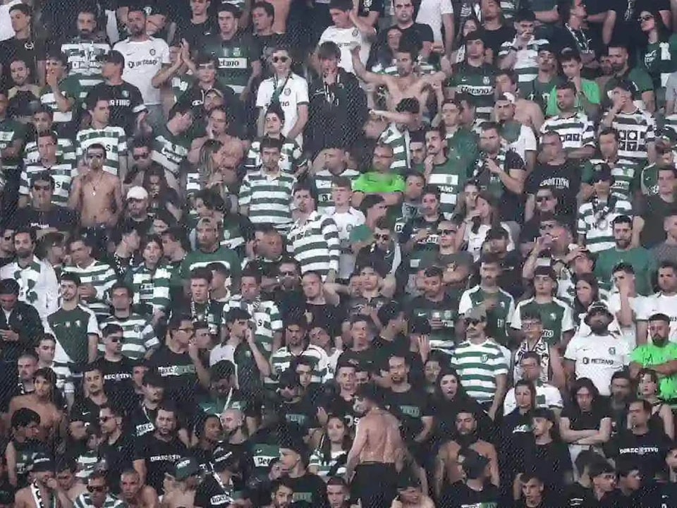 Ncv, 获得了, 晋级南美解 Ncv, 获得了, 晋级南美解